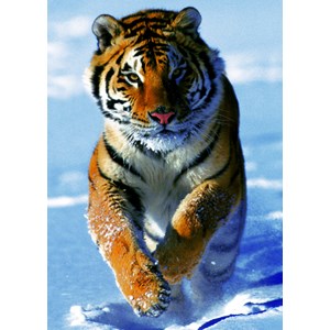 Trefl (37009) - "Snow Tiger" - 500 Teile Puzzle