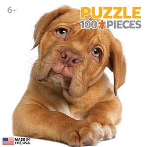 Eurographics (8104-0616) - "Welpe" - 100 Teile Puzzle