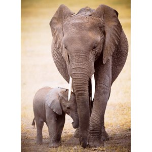 Eurographics (6000-0270) - "Elefantenmutter mit Jungtier" - 1000 Teile Puzzle