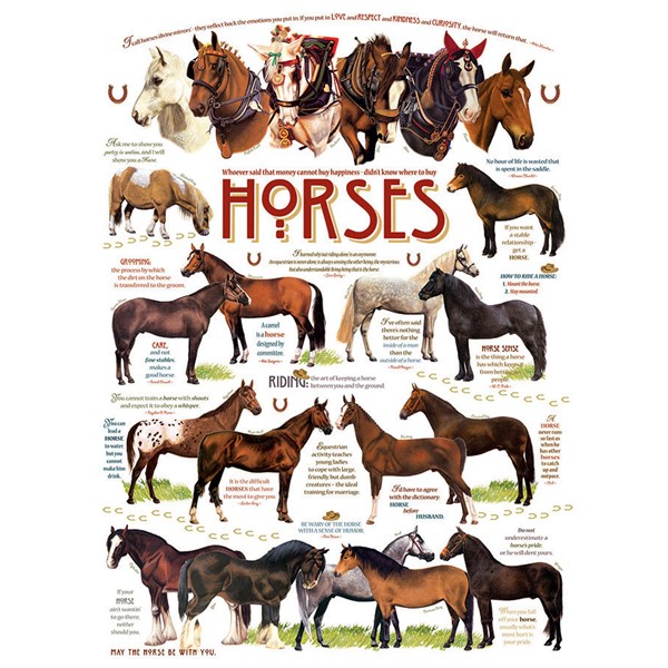 Cobble Hill (51825) - "Horse Quotes" - 1000 Teile Puzzle