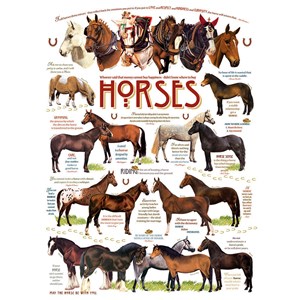 Cobble Hill (51825) - "Horse Quotes" - 1000 Teile Puzzle
