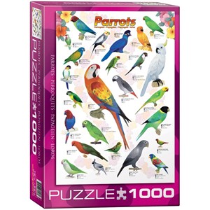 Eurographics (6000-0126) - "Papageien" - 1000 Teile Puzzle