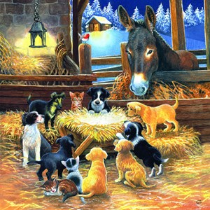 SunsOut (39535) - Chrissie Snelling: "Barnyard Nativity" - 500 Teile Puzzle
