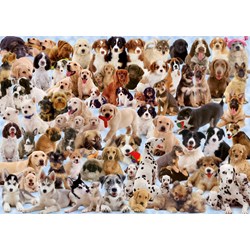 Ravensburger (15633) - "Hunde Collage" - 1000 Teile Puzzle