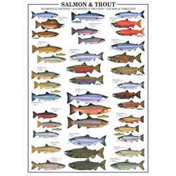 Eurographics (6000-0311) - "Der Lachs und die Forelle" - 1000 Teile Puzzle
