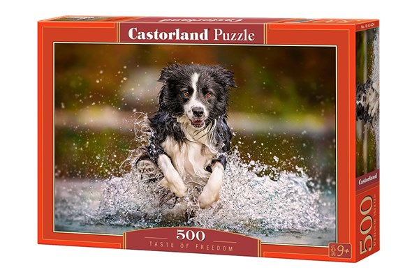 Castorland (B-52424) - "Ruf der Freiheit" - 500 Teile Puzzle