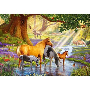 Castorland (C-103737) - "Pferde am Flusslauf" - 1000 Teile Puzzle