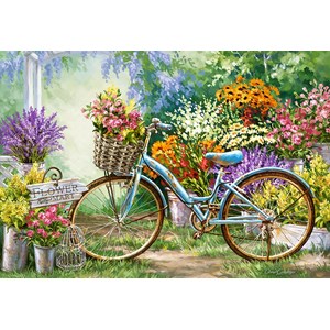 Castorland (C-103898) - "Bepflanztes Fahrrad" - 1000 Teile Puzzle