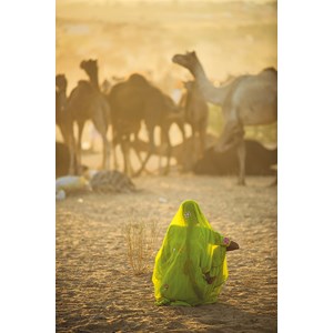 Clementoni (39302) - "Sari" - 1000 Teile Puzzle