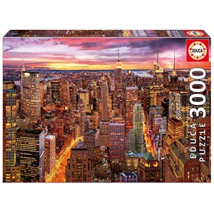 Educa (17131) - "Skyline von Manhattan" - 3000 Teile Puzzle