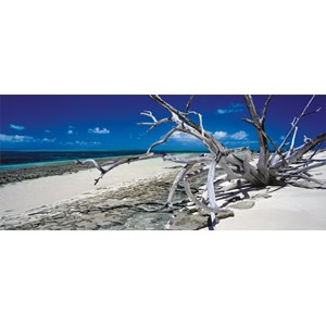 Schmidt Spiele (59362) - Mark Gray: "Green Island in Queensland Australien" - 136 Teile Puzzle
