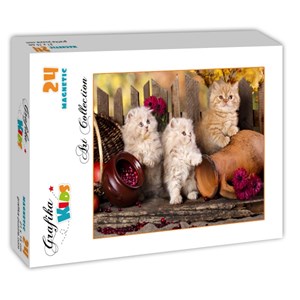 Grafika Kids (00322) - "Persian kittens" - 24 Teile Puzzle