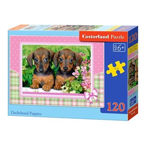 Castorland (13142) - "Dachshund Puppies" - 120 Teile Puzzle