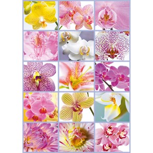 Educa (16302) - "Blumen Collage" - 1500 Teile Puzzle