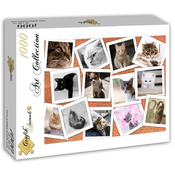 Grafika (T-00381) - "Katzen" - 1000 Teile Puzzle