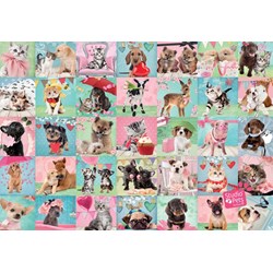 Jumbo (19353) - "Studio Pets - Schöner Tag" - 1000 Teile Puzzle