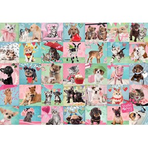 Jumbo (19353) - "Studio Pets - Schöner Tag" - 1000 Teile Puzzle