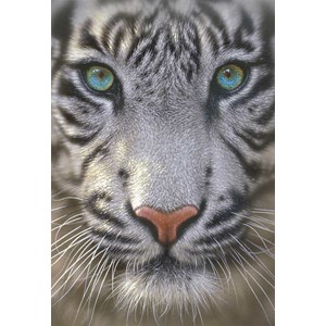 Educa (15971) - "White Tiger" - 500 Teile Puzzle
