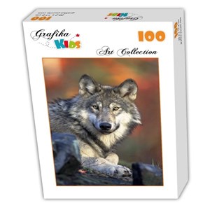 Grafika Kids (00516) - "Wolf" - 100 Teile Puzzle