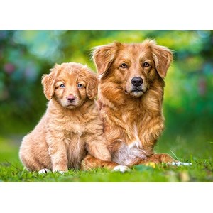 Castorland (13265) - "Immer an deiner Seite" - 120 Teile Puzzle